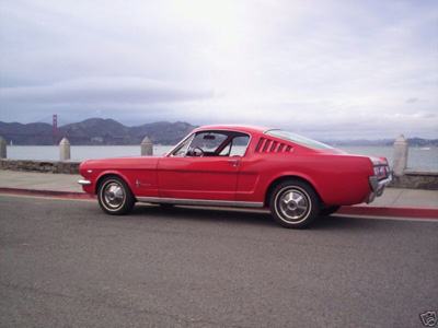 Mustang Image 1