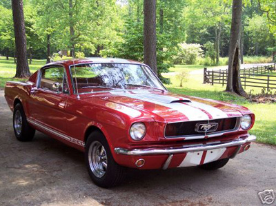 Mustang Image 18