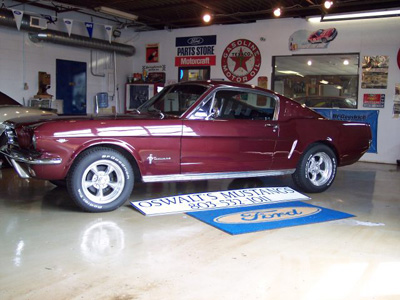 Mustang Image 6
