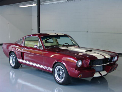 Mustang Image 8
