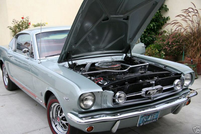 Mustang Image 9