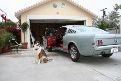 1965 mustang